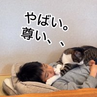 お腹の上に乗る猫