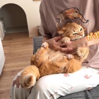 がぶ