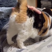 お尻を上げた姿