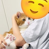 妹に抱っこされる茶白猫