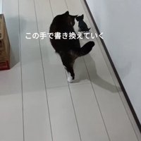 子猫を追う猫