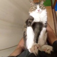 こちらを向いて