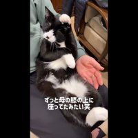 ずっと母の膝の上に