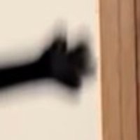 全開に開かれた黒猫の足先