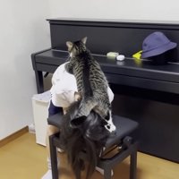 ピアノの前で娘さんに乗るおでこちゃん