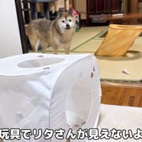 のぞきこむリキくん