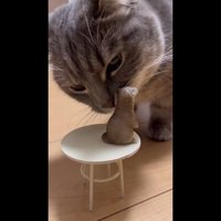 鼻でタッチ