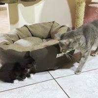 ベッドの前で対面