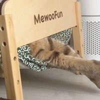 ベッドで寝ている猫