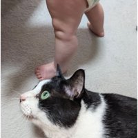 猫と赤ちゃん