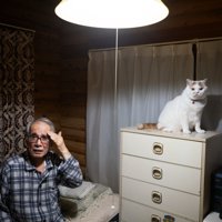 痛がる男性と猫