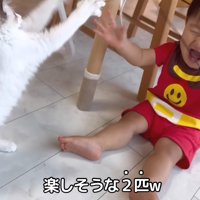 楽しそうな2匹