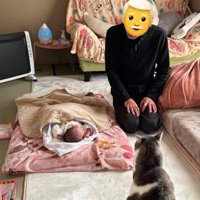 赤ちゃんを見守るじいじと猫
