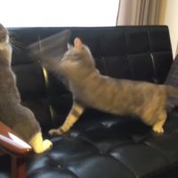 さらに攻撃を続ける様子
