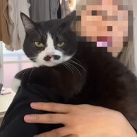 カメラ目線