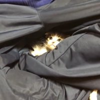 顔だけ出して