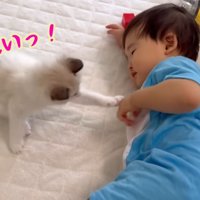 テロップ「えいっ！」