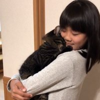 顔をすり寄せる猫3