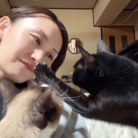 飼い主の顔に手を伸ばす猫