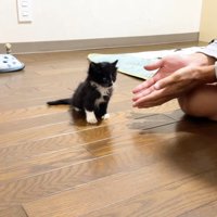 手を広げる投稿主さん