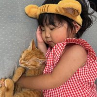 子供と添い寝する子猫