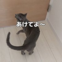 あけてよ〜