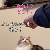 「よしえちゃん、後ろ」と書かれた写真1