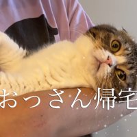 テロップ「おっさん帰宅」