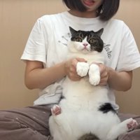 猫の様子