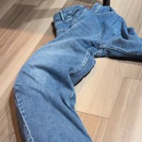 隠れる猫