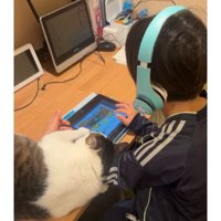男の子と猫