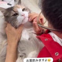 飲み薬を持っている人と抱かれている猫