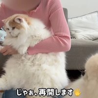 再開します