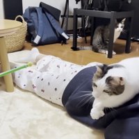 上半身を乗り上げて