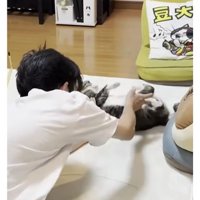 猫と男性