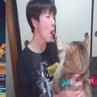 飼い主の口を触っている猫