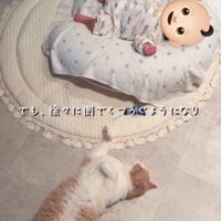 赤ちゃんのそばで寝転がる猫