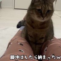 「足伸ばしたら...」のテロップ写真