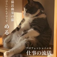 座っている猫の横顔