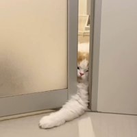 腕を伸ばして