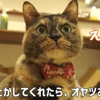 説得を頼まれるたっちゃん