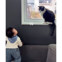 猫と赤ちゃん