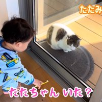 テロップ（下）「たたちゃんいた？」