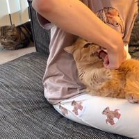指をガブッ
