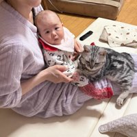 膝の上に乗る赤ちゃんと猫