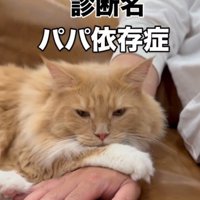 「診断名」と書かれた写真