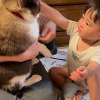 腕を広げる赤ちゃん