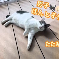 テロップ「男子ってほんと～」
