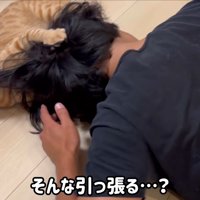 髪の毛を引っ張って