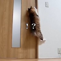 ！？